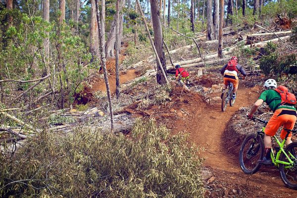 North East Tasmania Mountain Bike Project