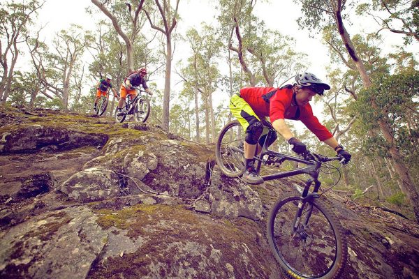 North East Tasmania Mountain Bike Project