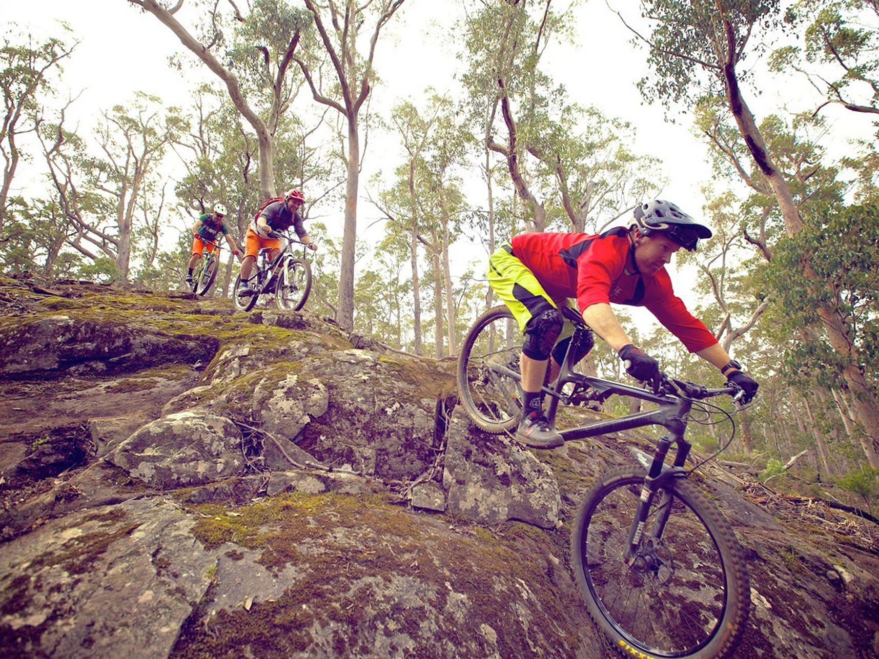 North East Tasmania Mountain Bike Project | Design, Consultancy and Construction