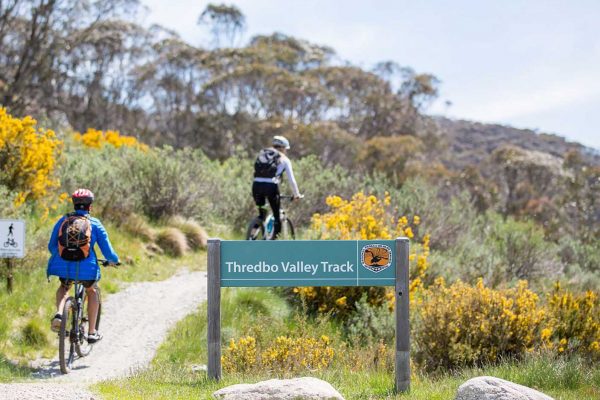 Thredbo-valley-1