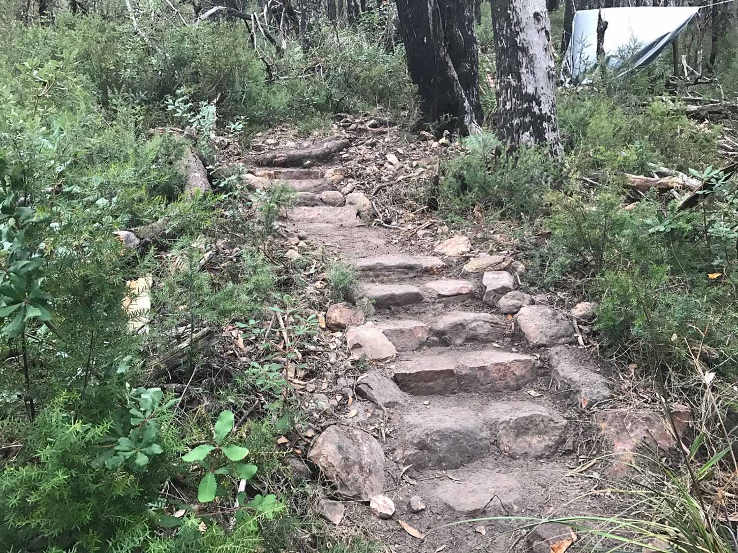 Grampians Peak Trail | Trail Design and Construction