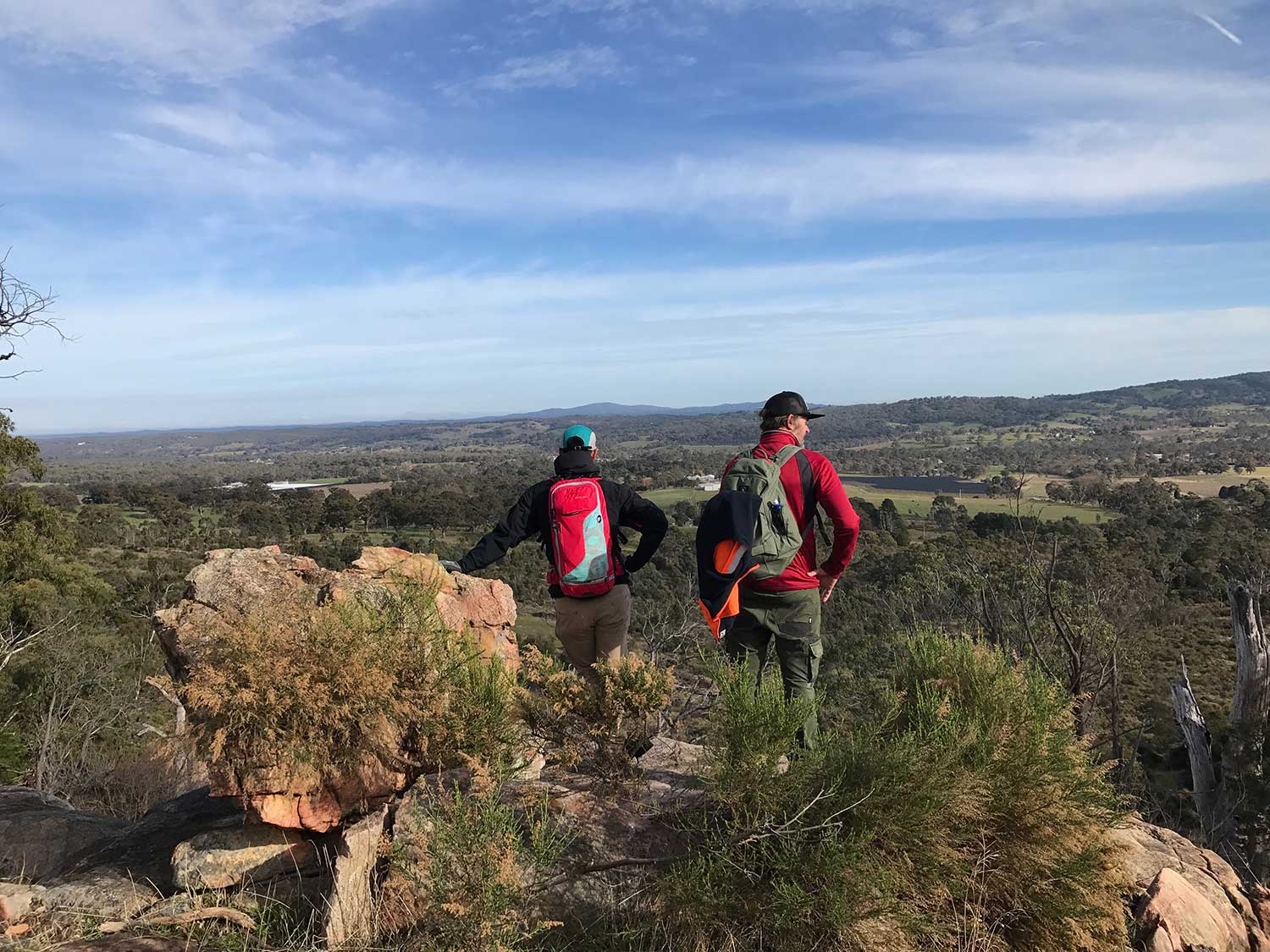 Harcourt Mountain Bike Park | Trail design, Trail Construction, Operational Planning and Consultancy